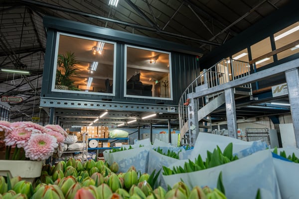 Uitbreiding op de veiling: een kantoor in zes weken
